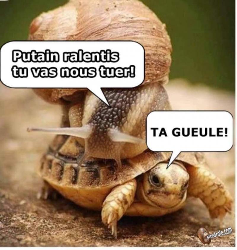 Humour divers - Page 32 Thumbn92