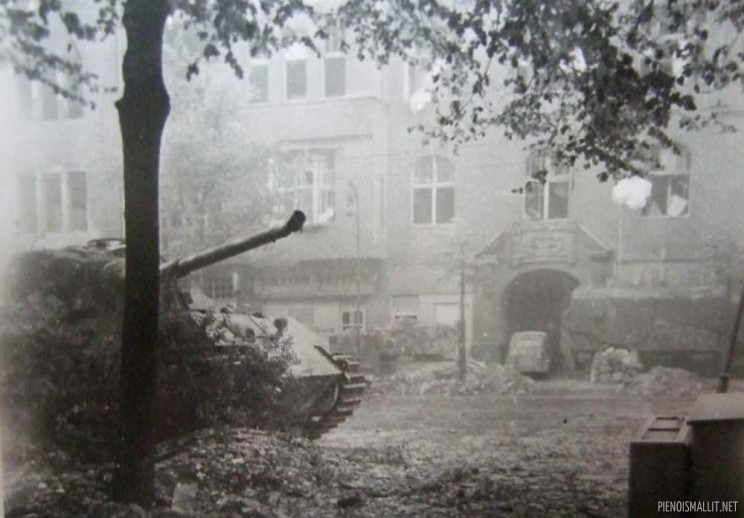 La fin de la Schwere SS-Panzer-Abteilung 503  a Berlin - Page 2 Tiger_55