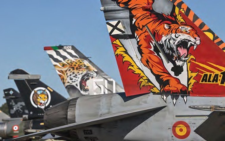 Peintures speciales occasions avions modernes - Page 2 Tiger_76