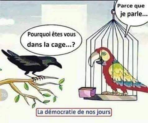 Humour divers - Page 27 Xxfff10