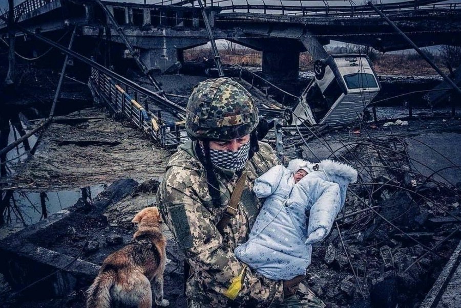 Photos guerre d ukraine Zirpen10