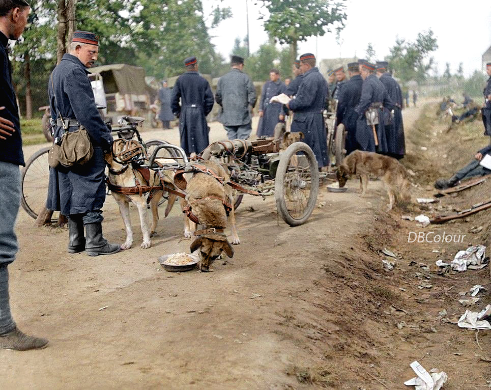 Photos colorises WWI - Page 10 Zz556