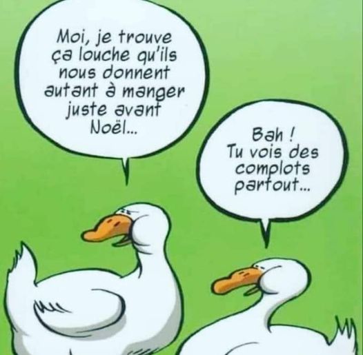 Humour divers - Page 27 Zzx43