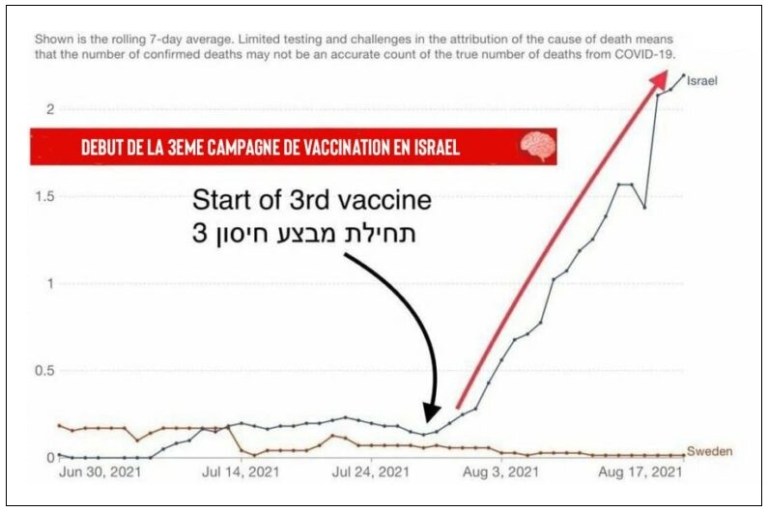 L'effet du vaccin Zzz22210