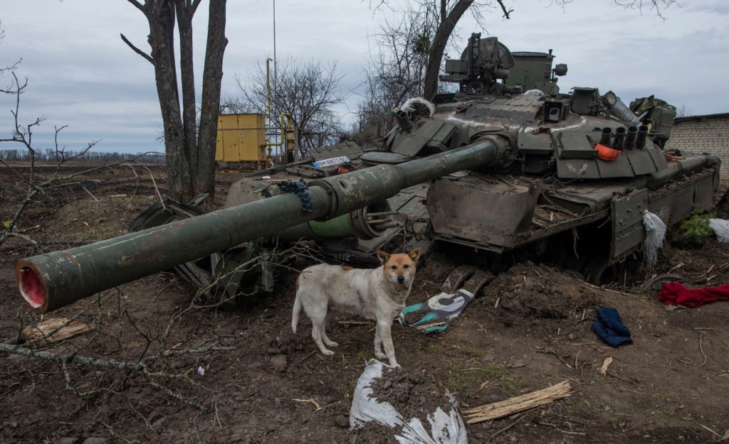 Photos guerre d ukraine - Page 3 Zzzz3050