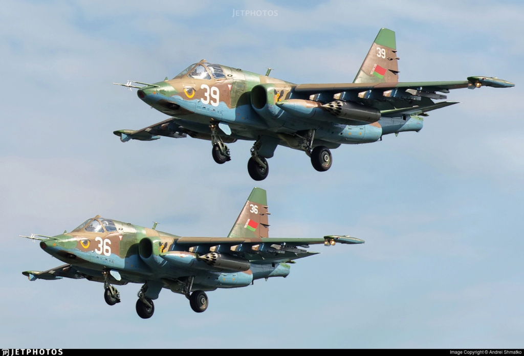 Le SU-25 n est pas mort! Zzzz5074