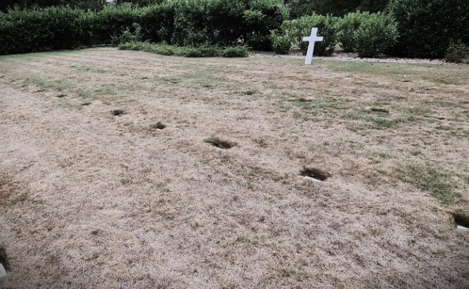 Le cimetière des soldats où aucun drapeau ne peut flotter Zzzz5720
