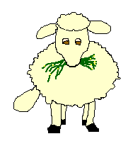 Moutons Mouton12