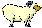 Moutons Mouton14