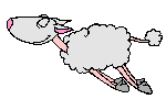 Moutons Mouton20