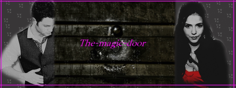 * THE MAGIC DOOR 
