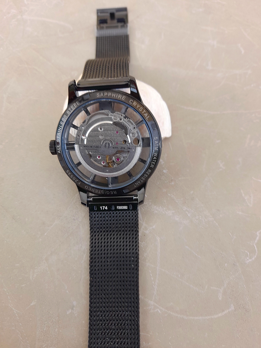 Quelle premiere montre squelette sans se ruiner ? - Page 10 Fest210