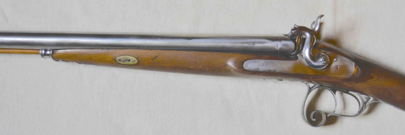 chasse - Un vénérable petit fusil de chasse 16p-co10