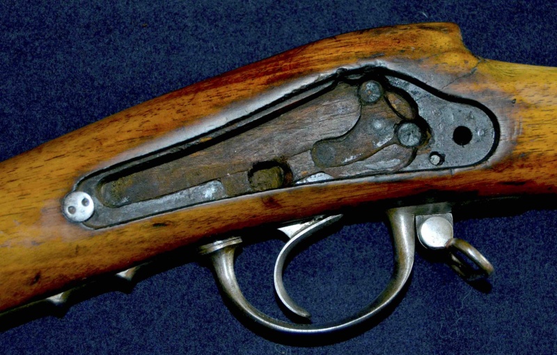 Le Fusil d'Infanterie Modèle 1842 t 1842tn35