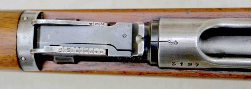 Le fusil de cadet modèle 1897 1897-h13