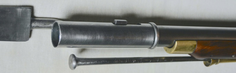 Le Long Land Pattern Musket, ou Brown Bess de chez DP Bbess-29