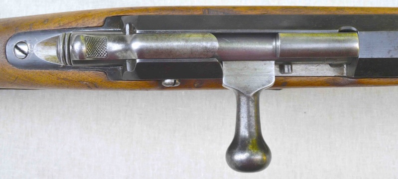 Mon nouveau fusil 1874 Gras Grasci23