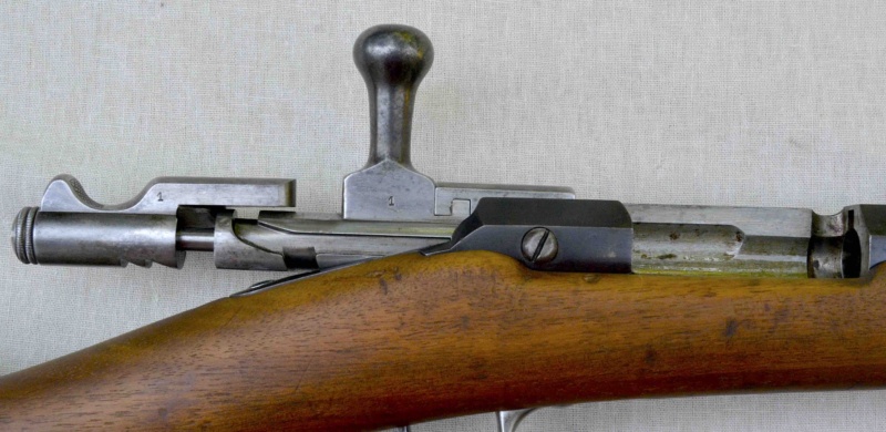 Un fusil d'infanterie 1874 M80 Gras très curieux. Grasci24
