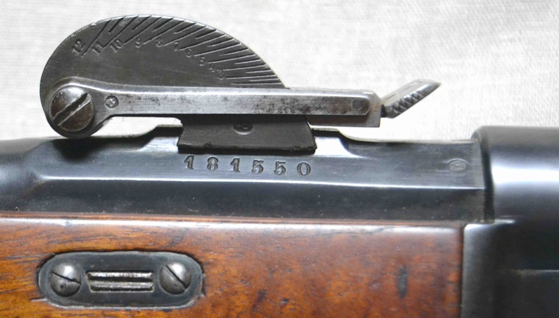 Le fusil Suisse Vetterli 1878/81 M78-ha11