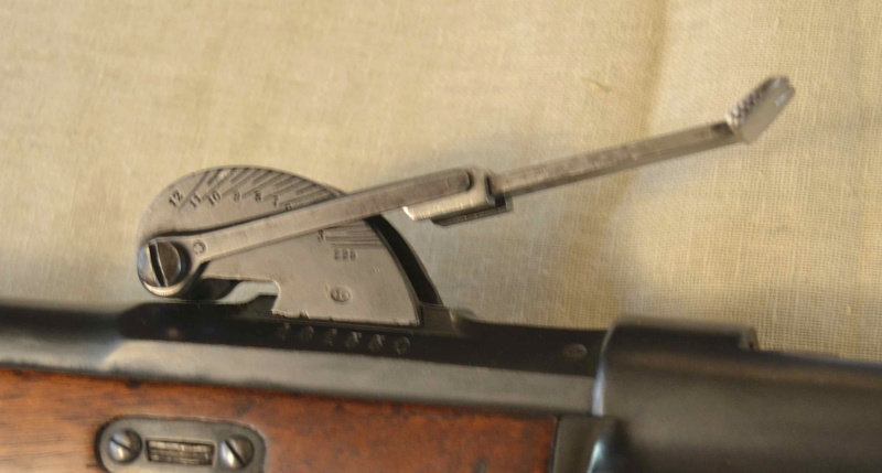 Mon fusil modèle 1878 M78-ha13