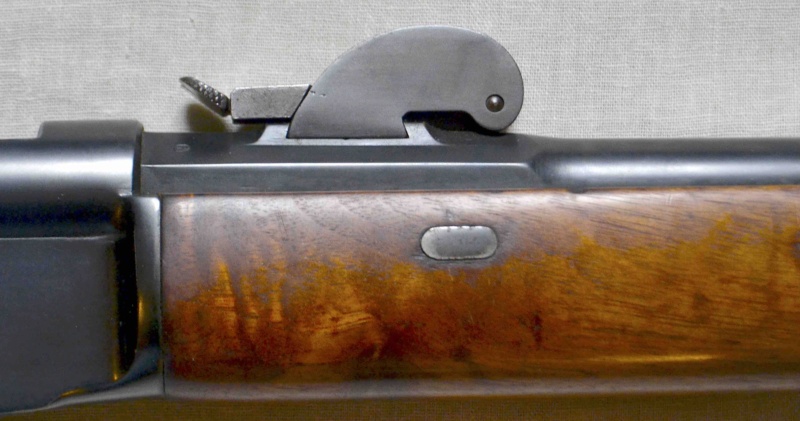 Le fusil Suisse Vetterli 1878/81 M78-ha14