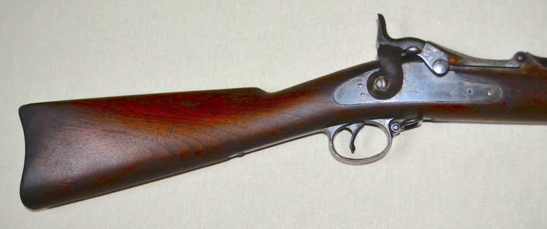 Le fusil Springfield 1884 Trapdoor "ramrod" Trapdo42