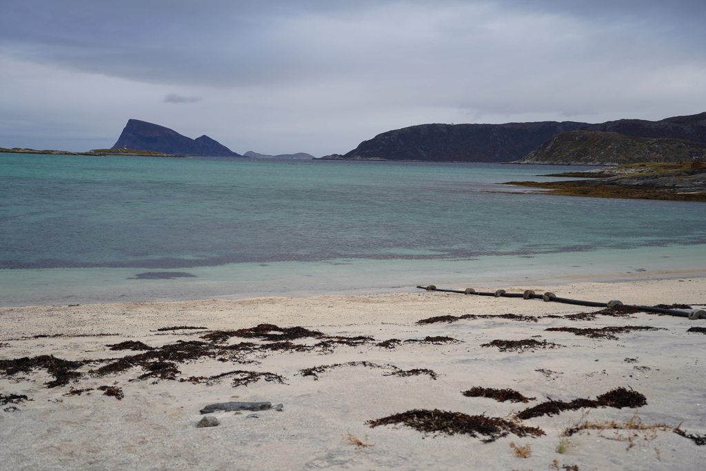 NORVEGE Octobre, VERS TROMSO Dsc05410