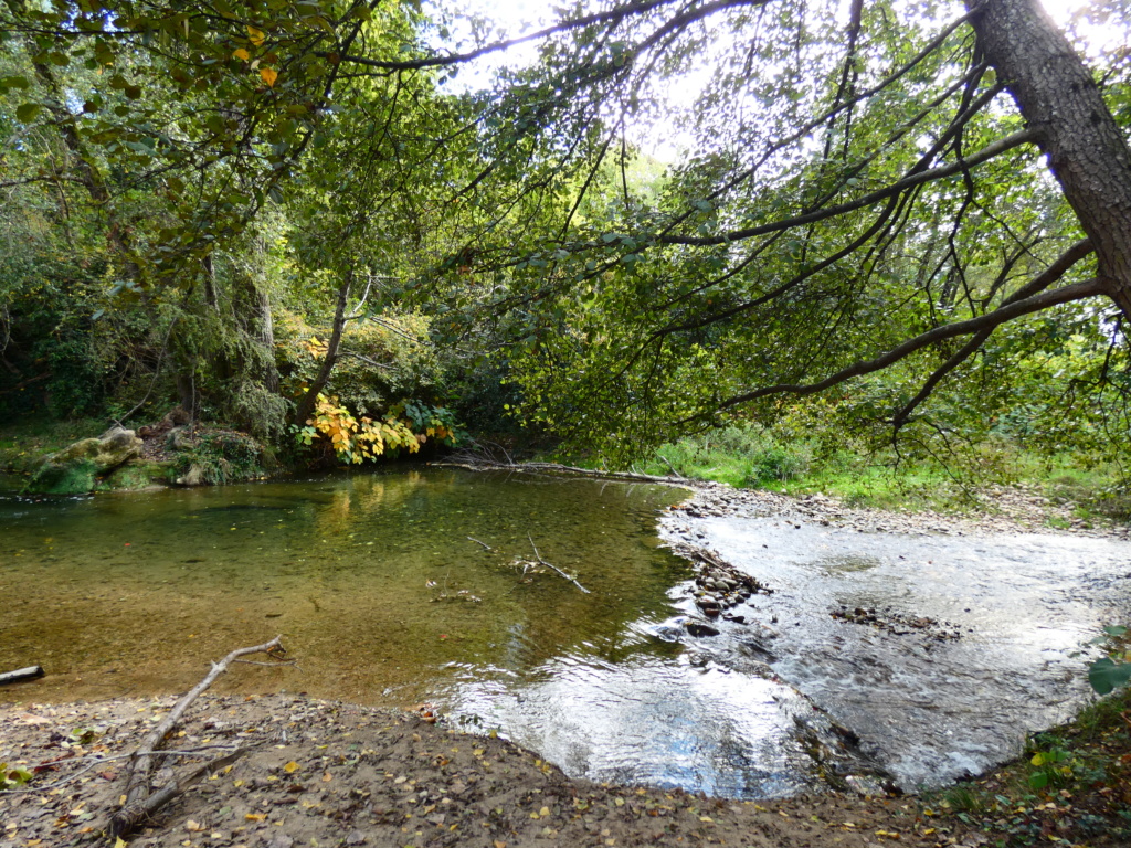 La Motte-de Galaure, balade en Automne P1020121