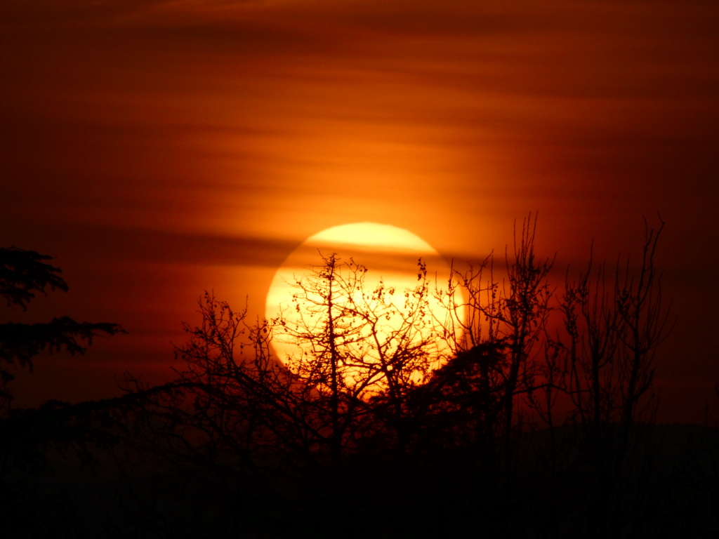 isere - Romans-sur-Isère: Lever de soleil et coucher de lune P1050314