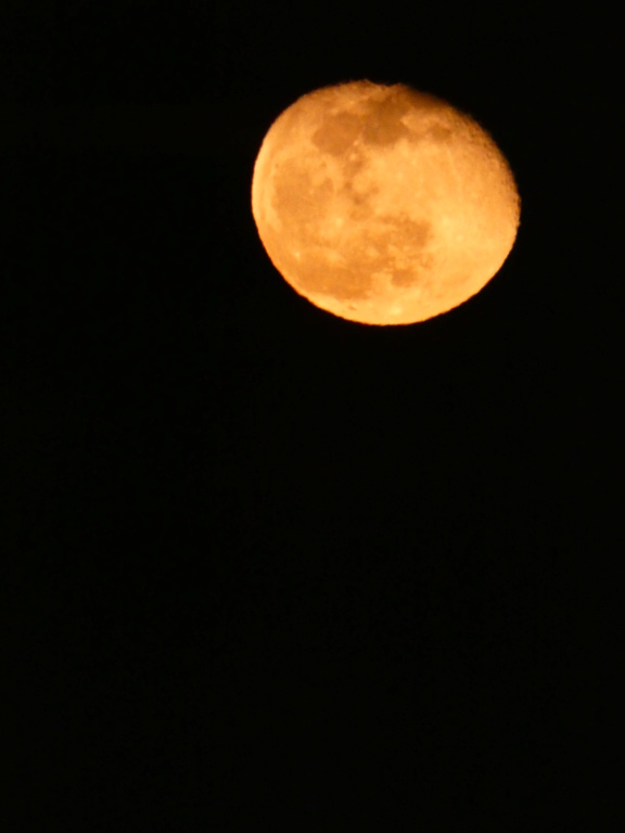 lune - Romans-sur-Isère: Lever de soleil et coucher de lune P1050316
