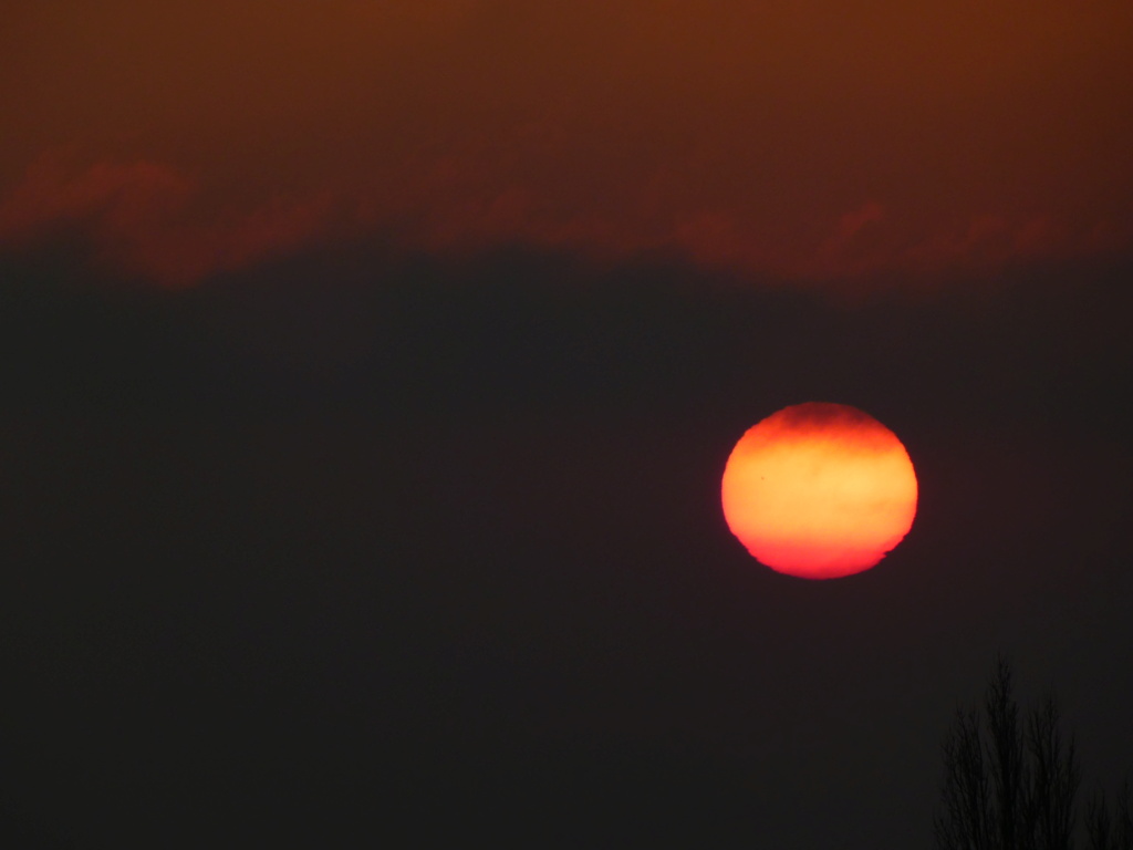 montmiral - Montmiral coucher de soleil P1110712