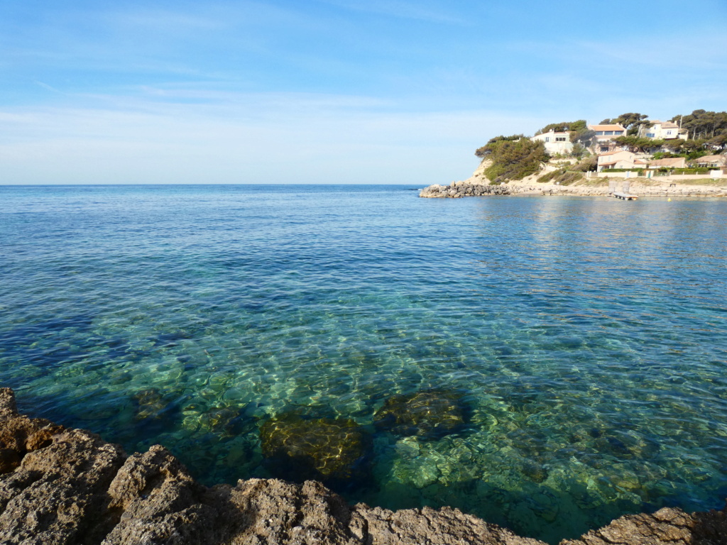 Les Tamaris, Martigues P1140620