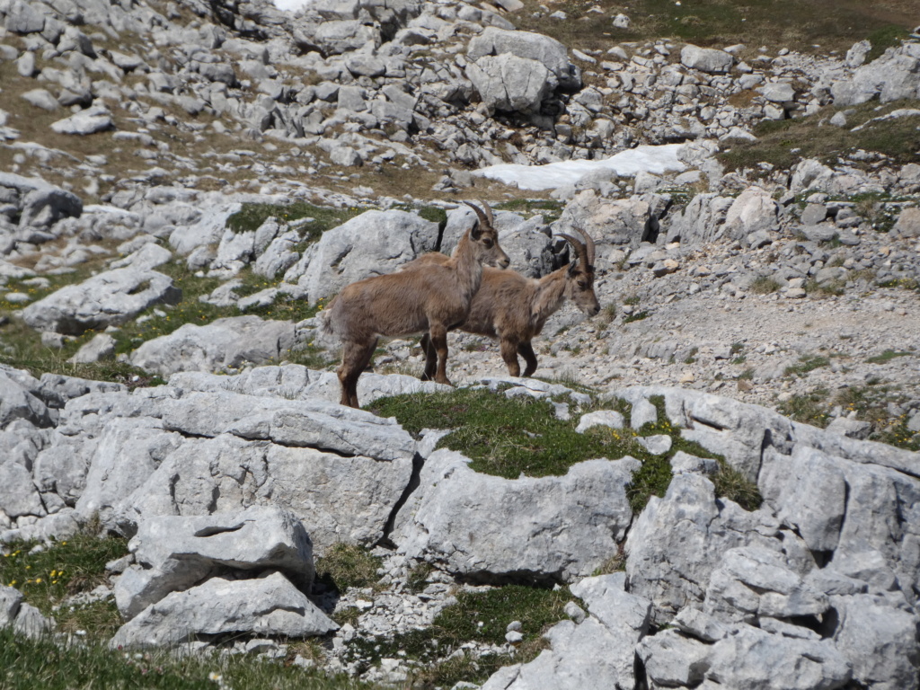 Randonnée au lac de la Moucherolle P1160242