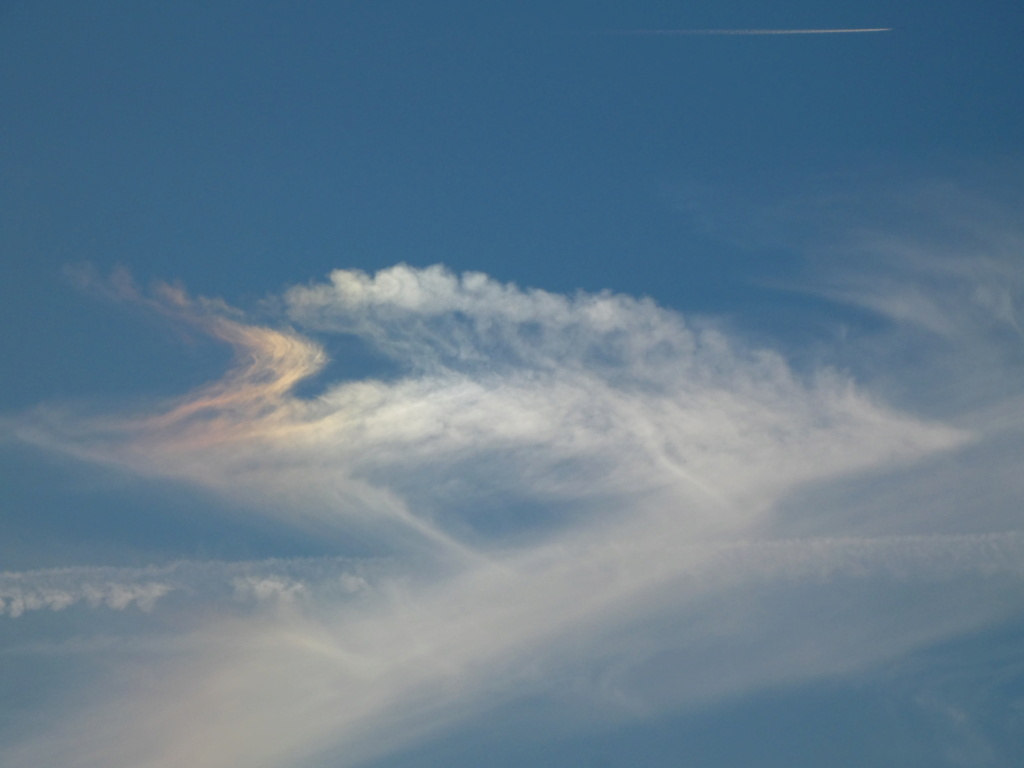 nuage - Nuage irisé P1170719
