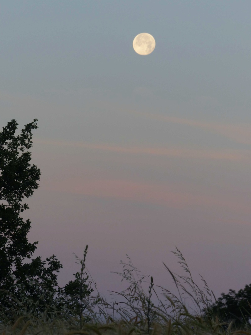 lune - Peyrins: lever de soleil et coucher de lune P1180212