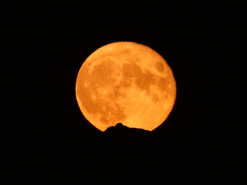 lune - Photo de lune        P1180639