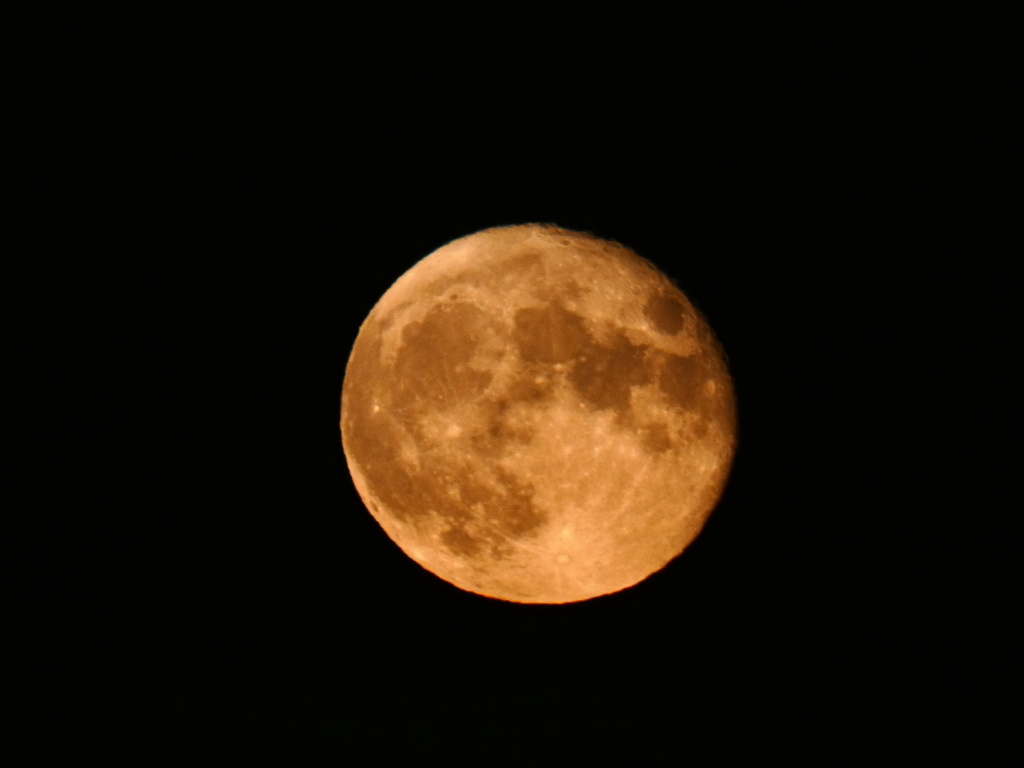 lune - Photo de lune        P1190645