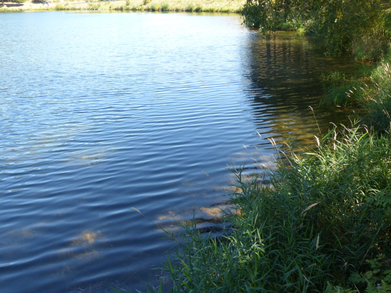 Lac Saint-Martial P1200725