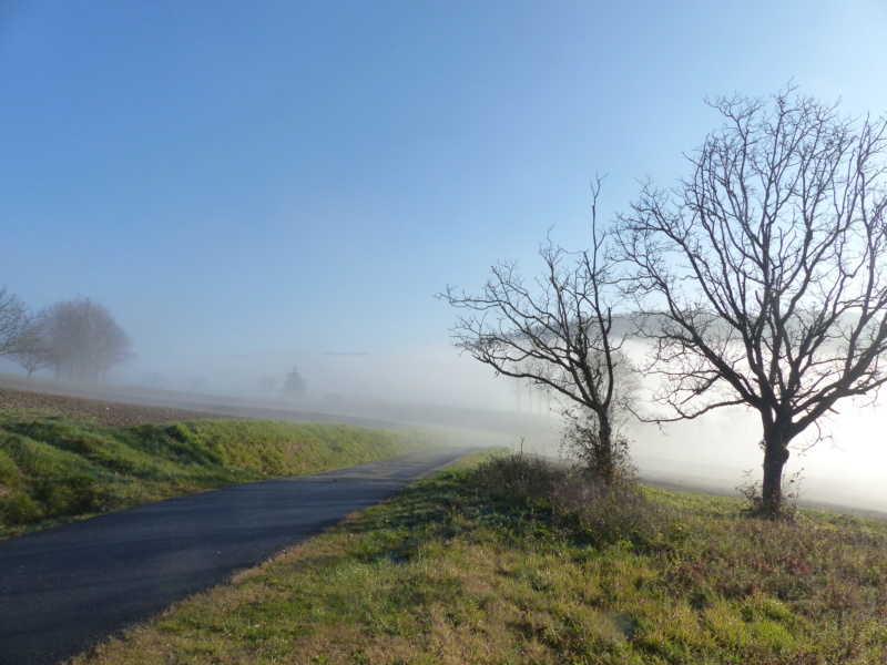 Brouillard vers Saint-Nazaire-en Royans P1210327