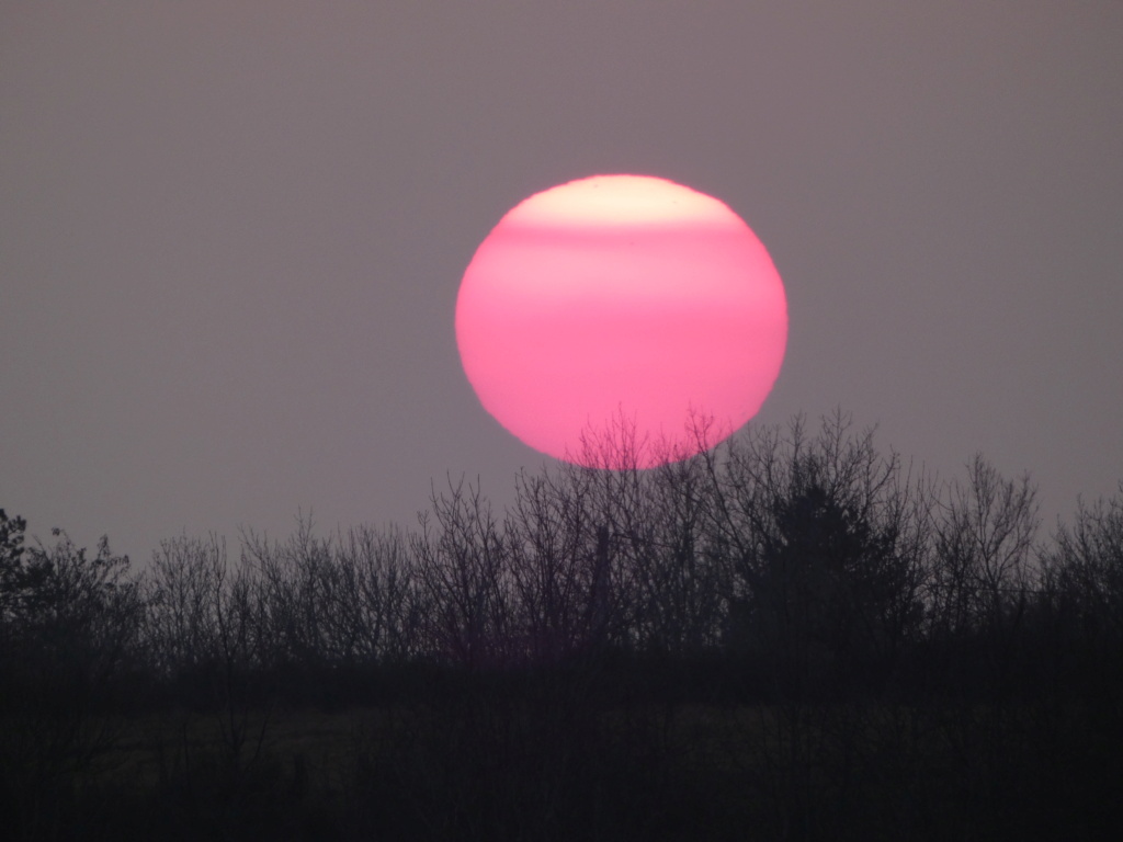 montmiral - Montmiral coucher de soleil P1230257