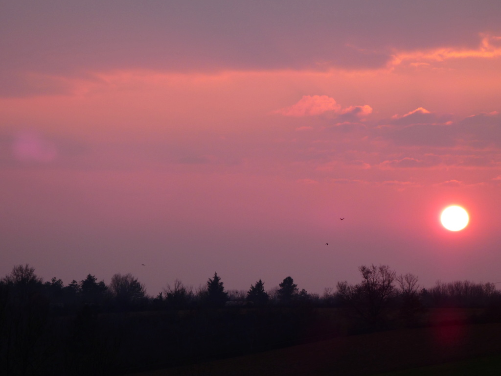 montmiral - Montmiral coucher de soleil P1230346