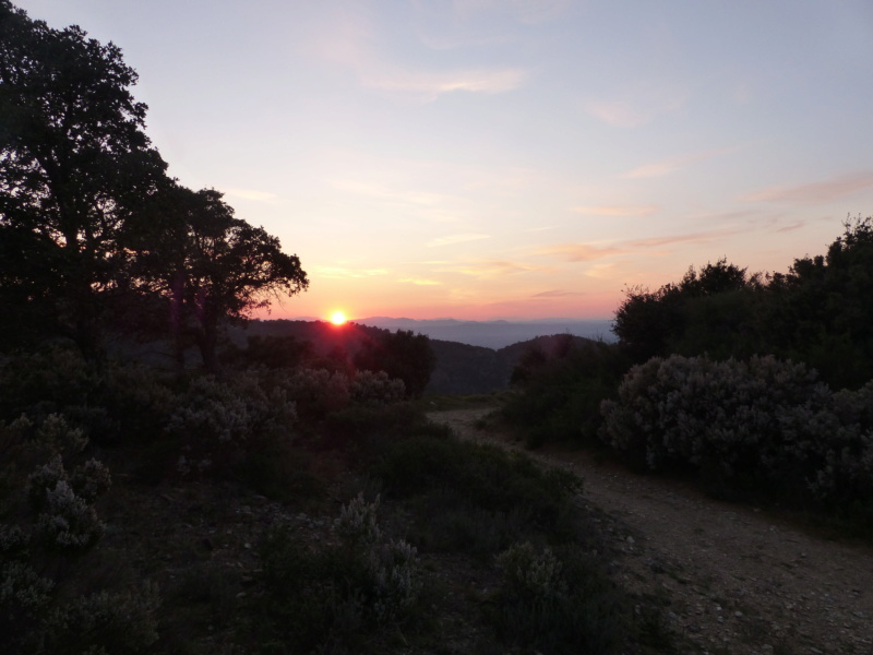 Garde Freinet, lever et coucher de soleil P1240027