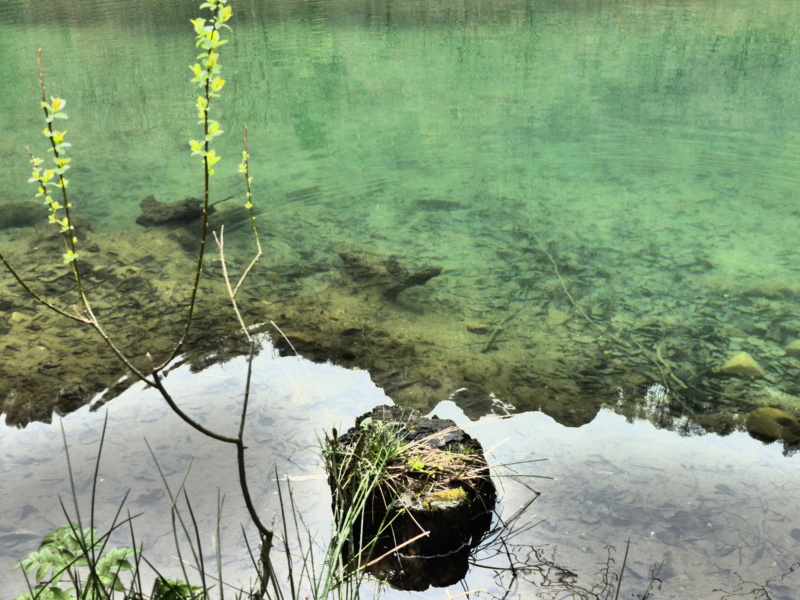 Lac bethmale P1250017
