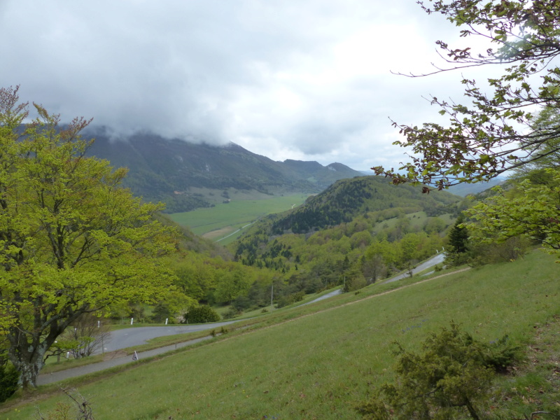 Col de Tourniol P1260210