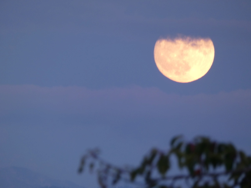 lune - Photo de lune        P1300239