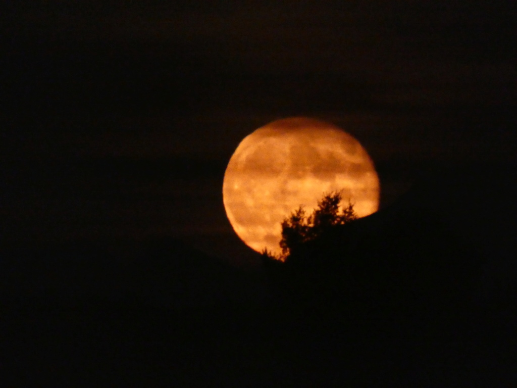 Roybon coucher de soleil et lever de lune P1320714