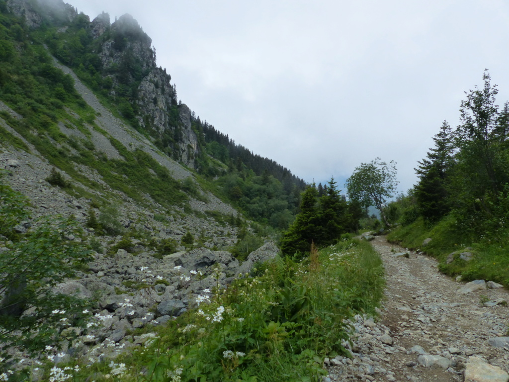 Rando:Parking des quatre chemins jusqu'au lac du Crozet et le lac Doménon   P1360815