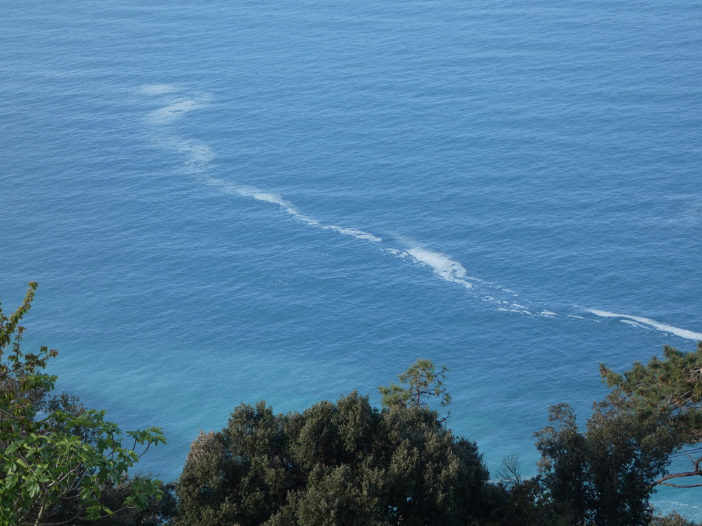 ITALIE: les Cinq Terre, du 13 au 20 Avril P1380227