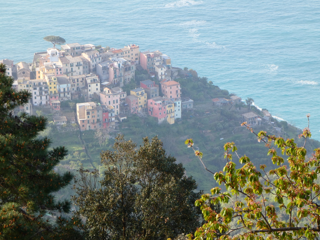 ITALIE: les Cinq Terre, du 13 au 20 Avril P1380228