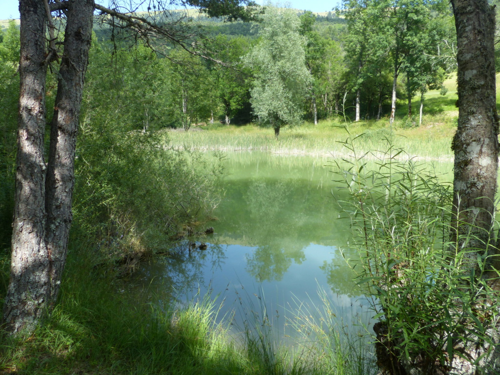 etang - Balade à Chichilianne: étang de Reymondin P1380333